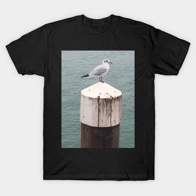 Seagulls by the Sea searching for Fish and Chips T-Shirt by Bucklandcrafts